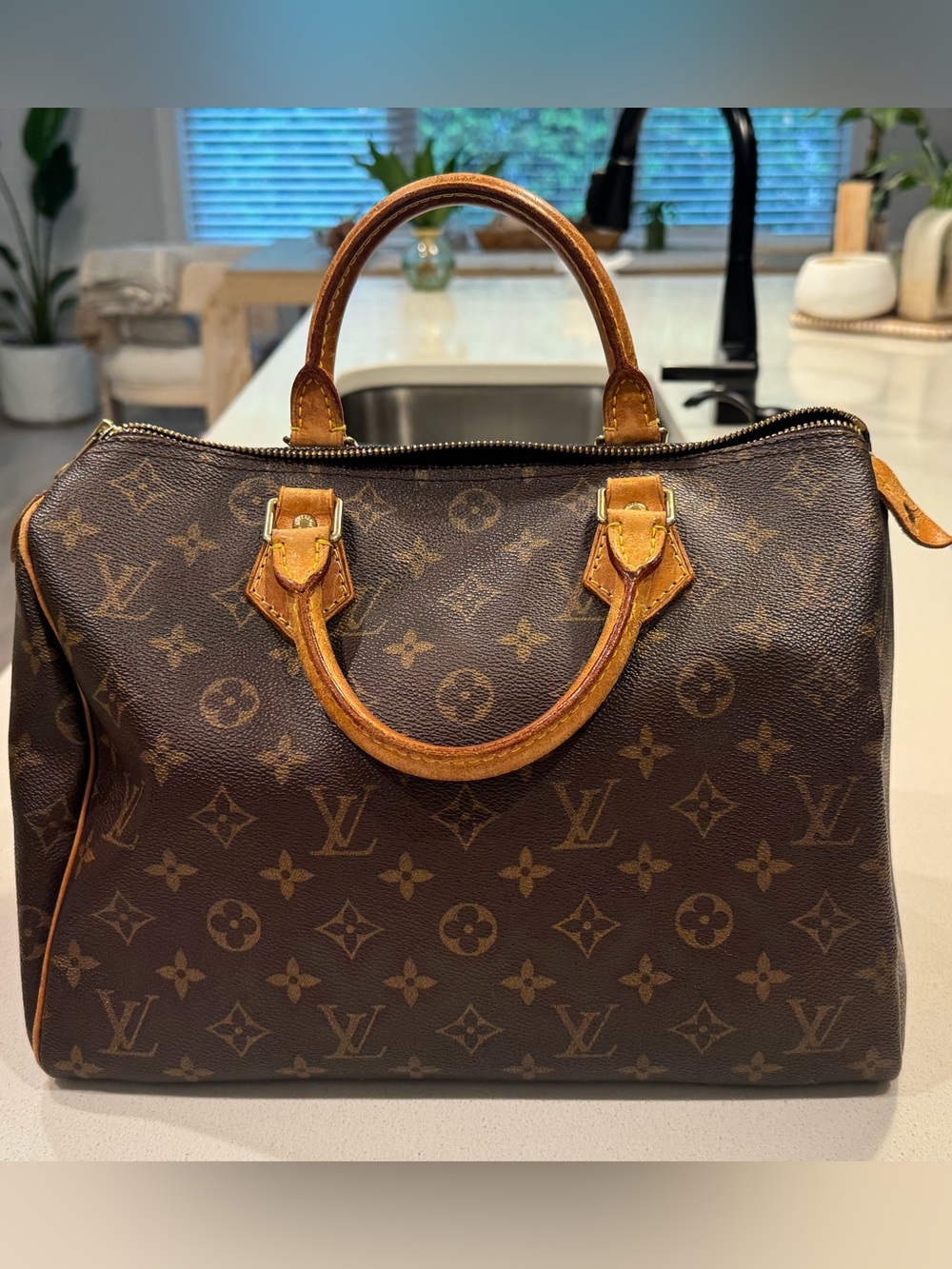 Louis Vuitton Speedy 30 Brown Monogram Canvas Top-Handle with Tan Trim